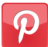 Linked In logo button that leads to LeeFitzsimmons' Pinterest profile