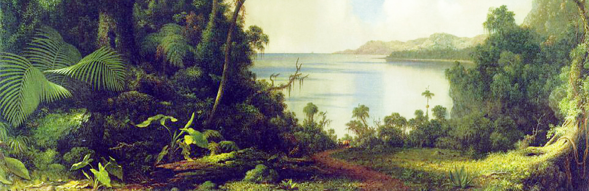 View from Fern Tree Walk Jamaica by Martin Johnson Heade 1870