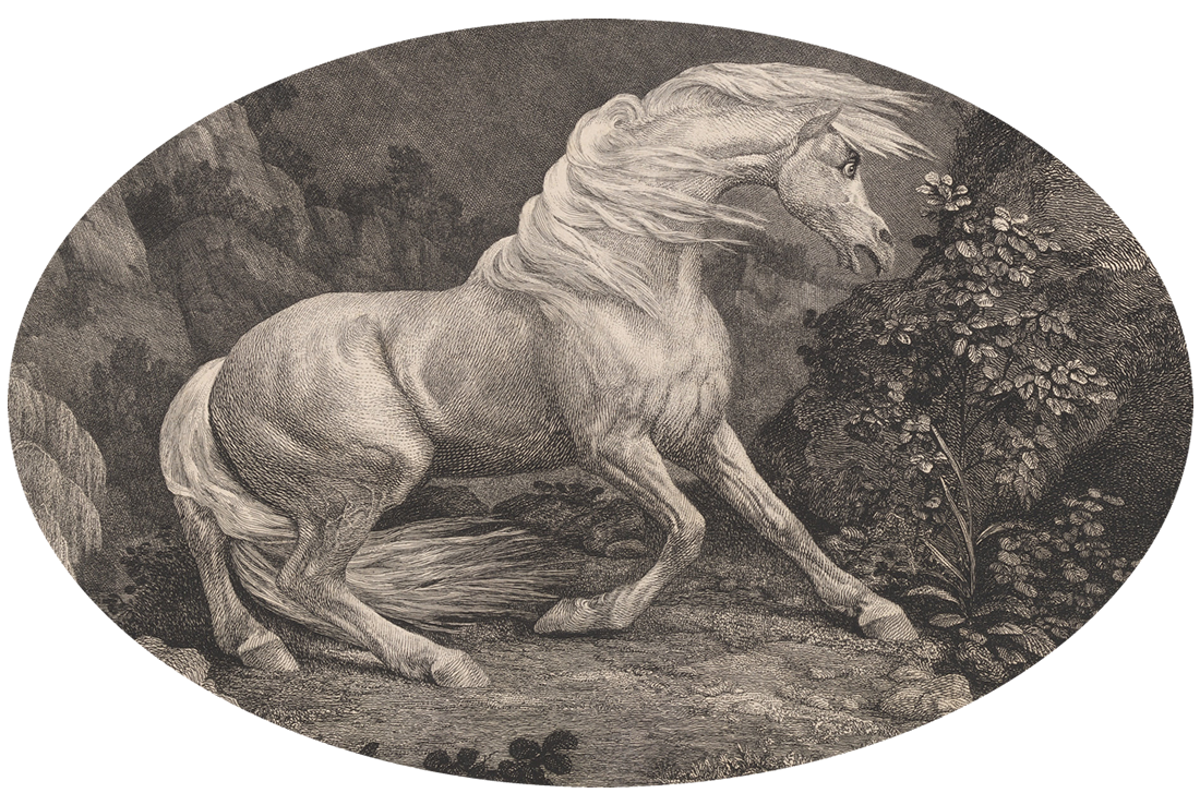 A Horse Affrighted by a Lion by George Stubbs (1777)